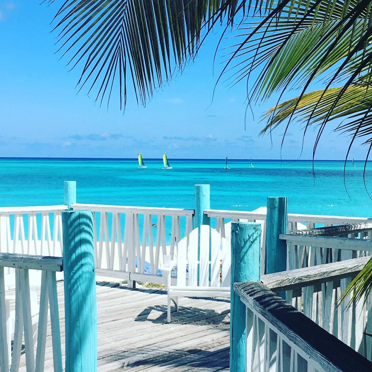 5e32e314defc25d08f846d57_9fee30b0-4c30-11ea-9d50-39dea4853f88